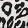 Black & White Pattern