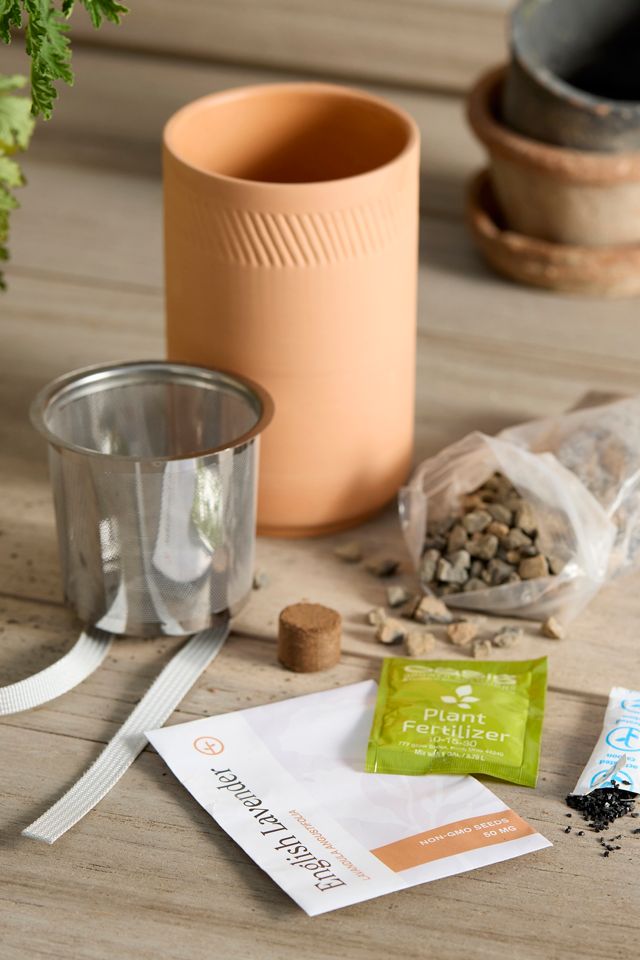 English Lavender Self-Watering Grow Kit #1