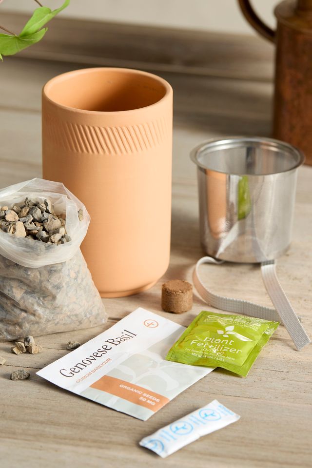 Genovese Basil Self-Watering Grow Kit #1