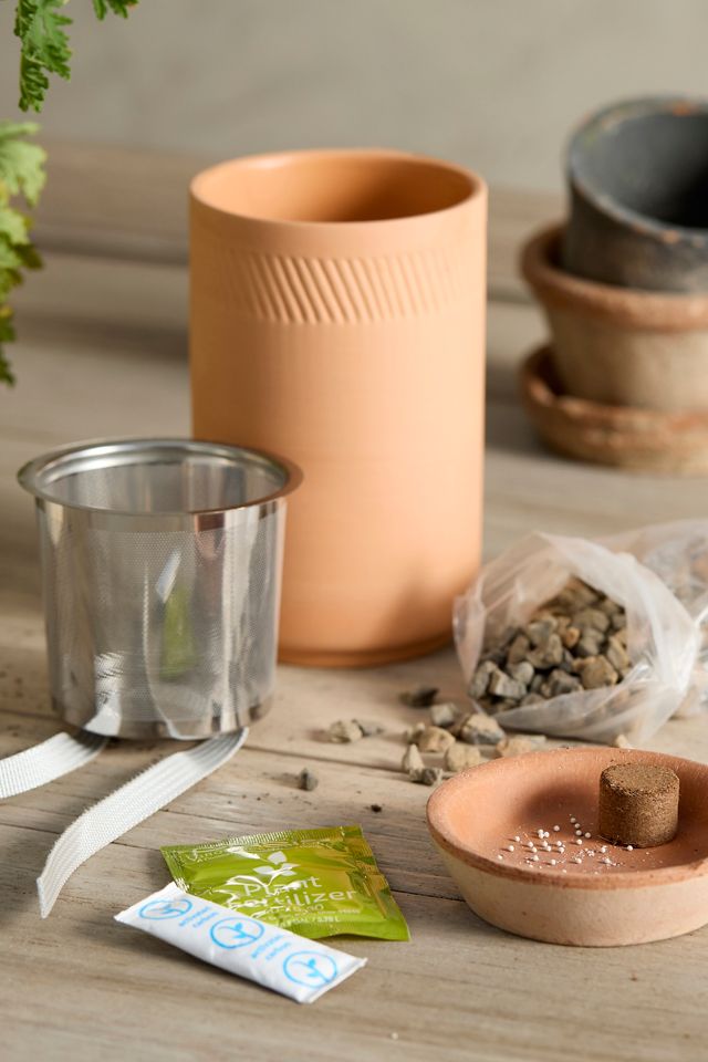 Spearmint Self-Watering Grow Kit #1