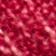 Lingonberry/Cranberry