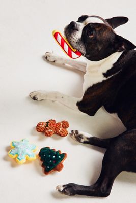 The Foggy Dog Christmas Cookie Dog Toys, Set of 4