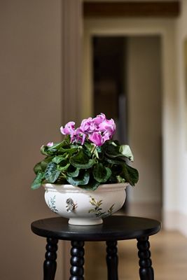 Gardenia Stoneware Pot