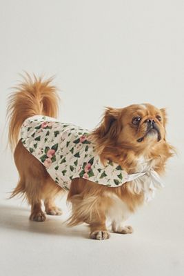 Pootsle Wuilted Puff Ribbon Dog Vest