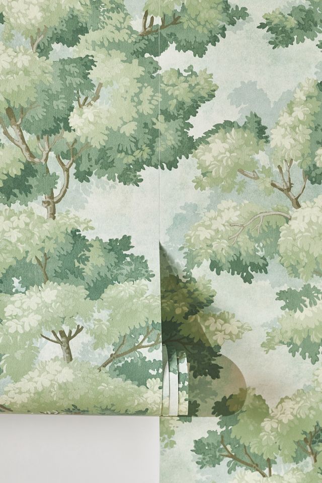 Green Scenic Tree Botanical Wallpaper #1