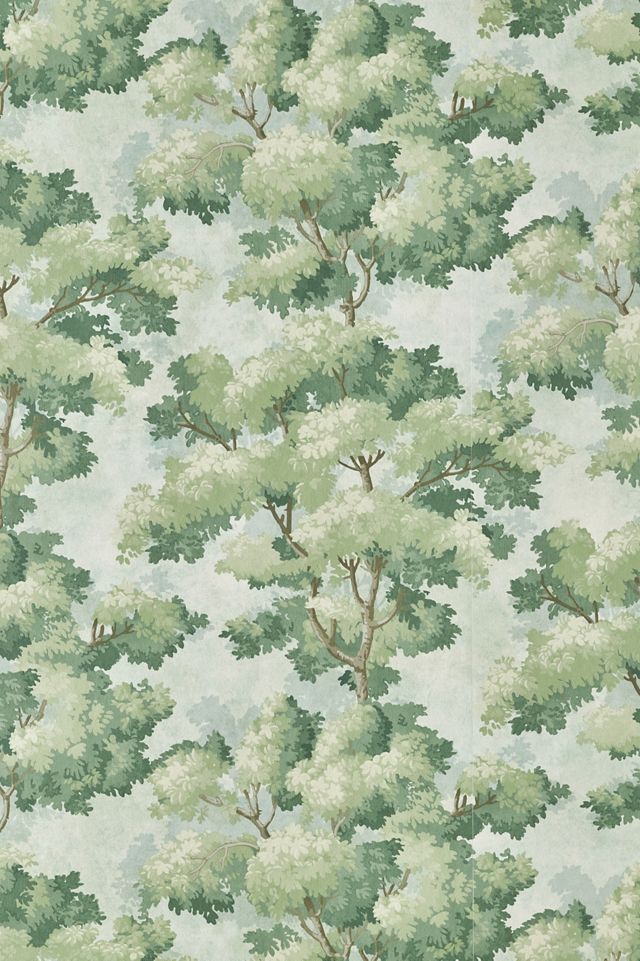 Green Scenic Tree Botanical Wallpaper #2