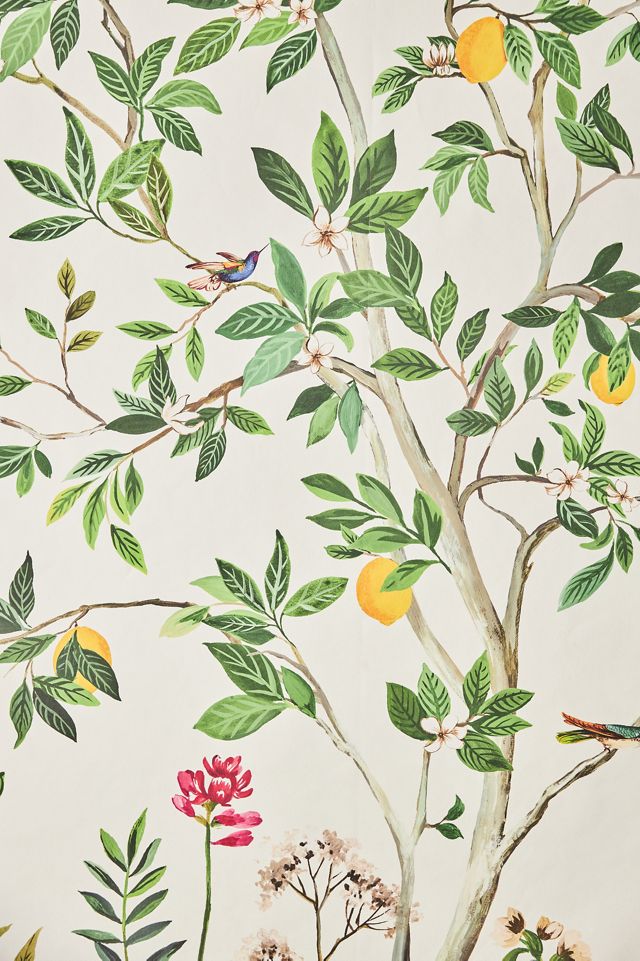 Citrus Grove Chinoiserie Wall Mural #3