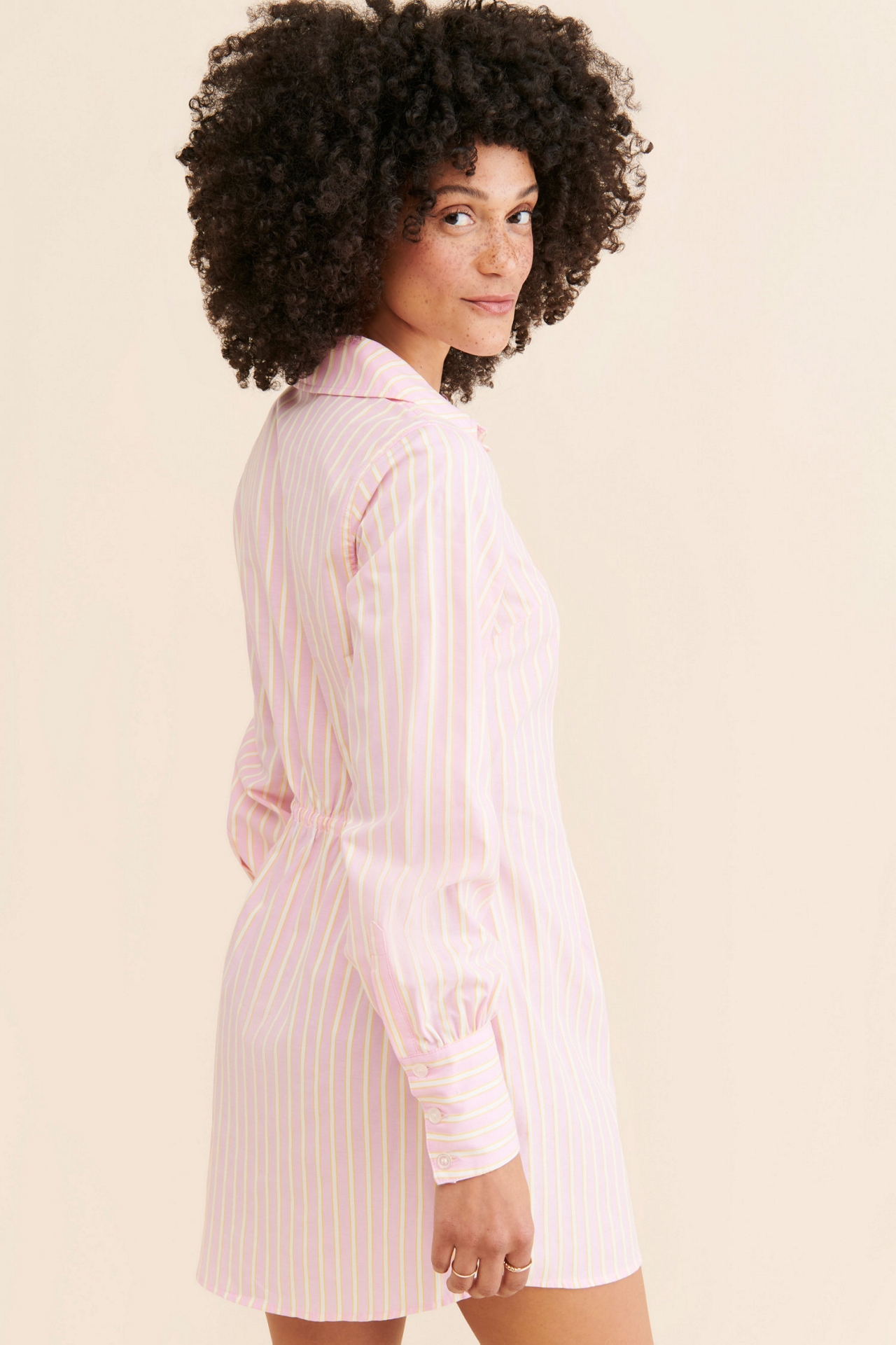 Sanctuary Striped Shirt Dress