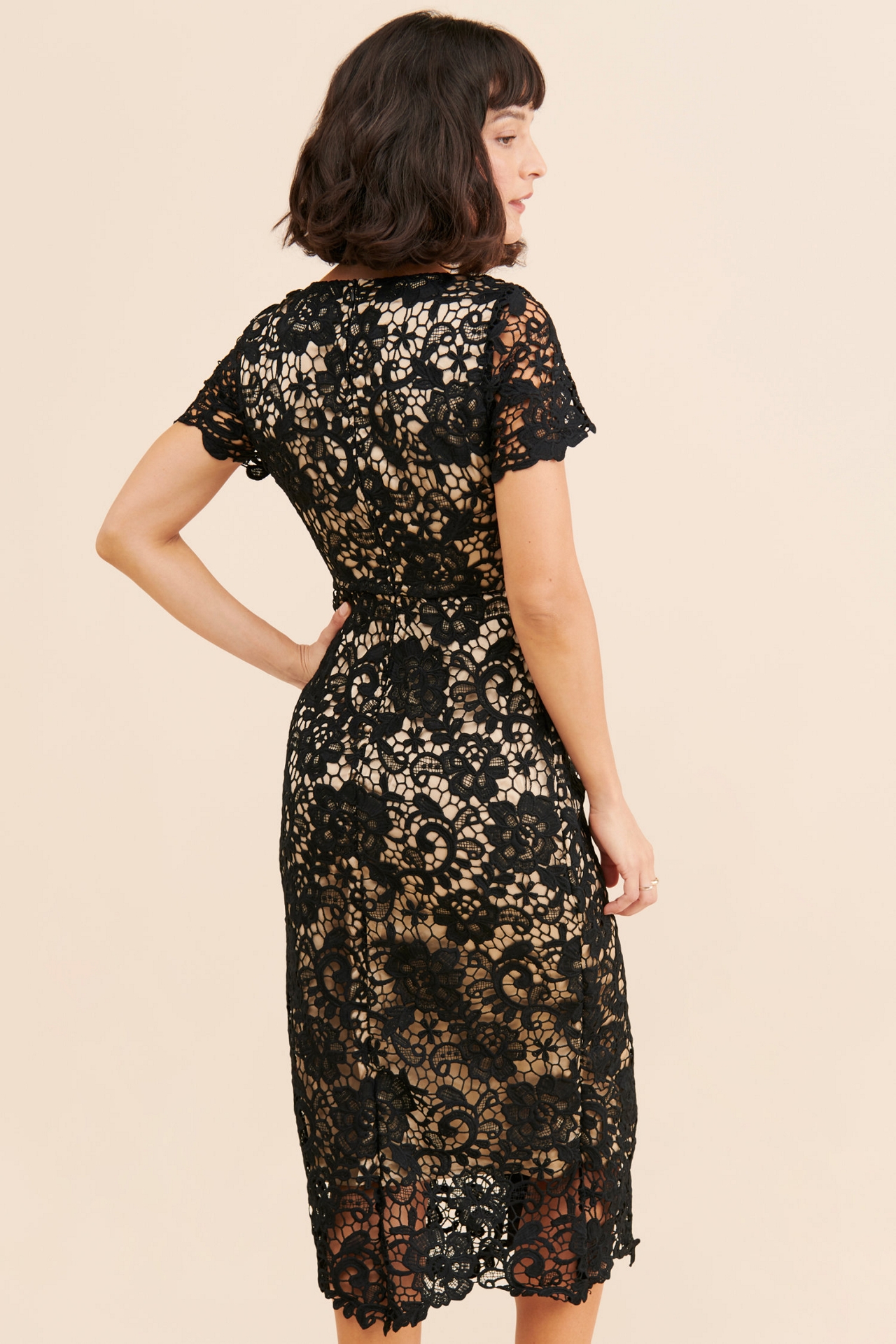 Rachel Parcell Button Down Lace Midi Dress