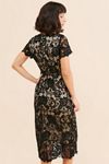Rachel Parcell Button Down Lace Midi Dress