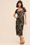 Rachel Parcell Button Down Lace Midi Dress