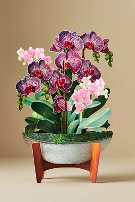 FreshCut Paper Paper Pop-Up Bouquet Set