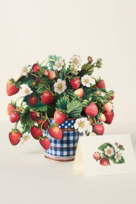 FreshCut Paper Paper Pop-Up Bouquet Set