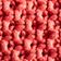 Red Berry
