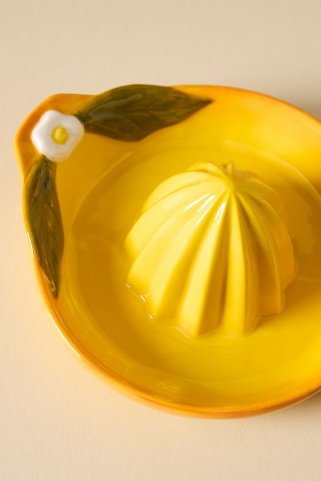 Foster Icon Stoneware Citrus Juicer #2