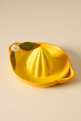 Foster Icon Stoneware Citrus Juicer