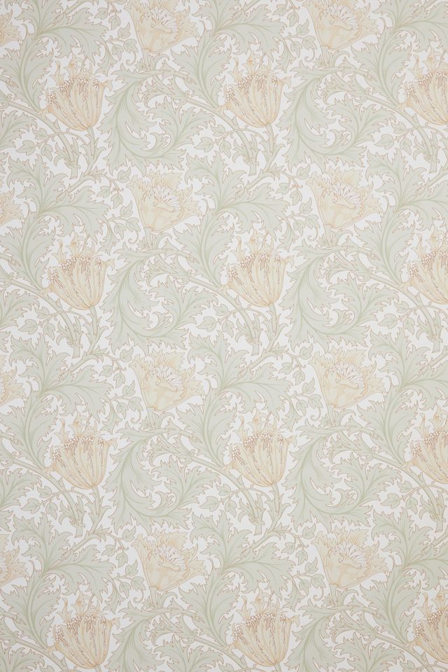 Anemone Moss Floral Trail Wallpaper