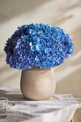 Fresh Blue Hydrangea Bouquet