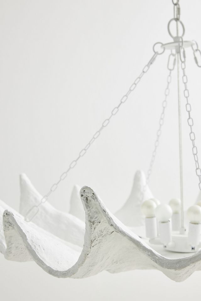 Coastal Living Clam Chandelier #3