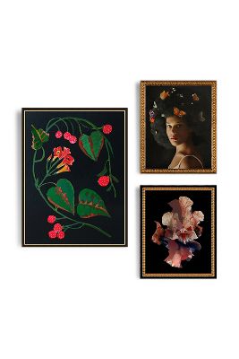 Artfully Walls Midnight Garden Gallery Wall Art In Black