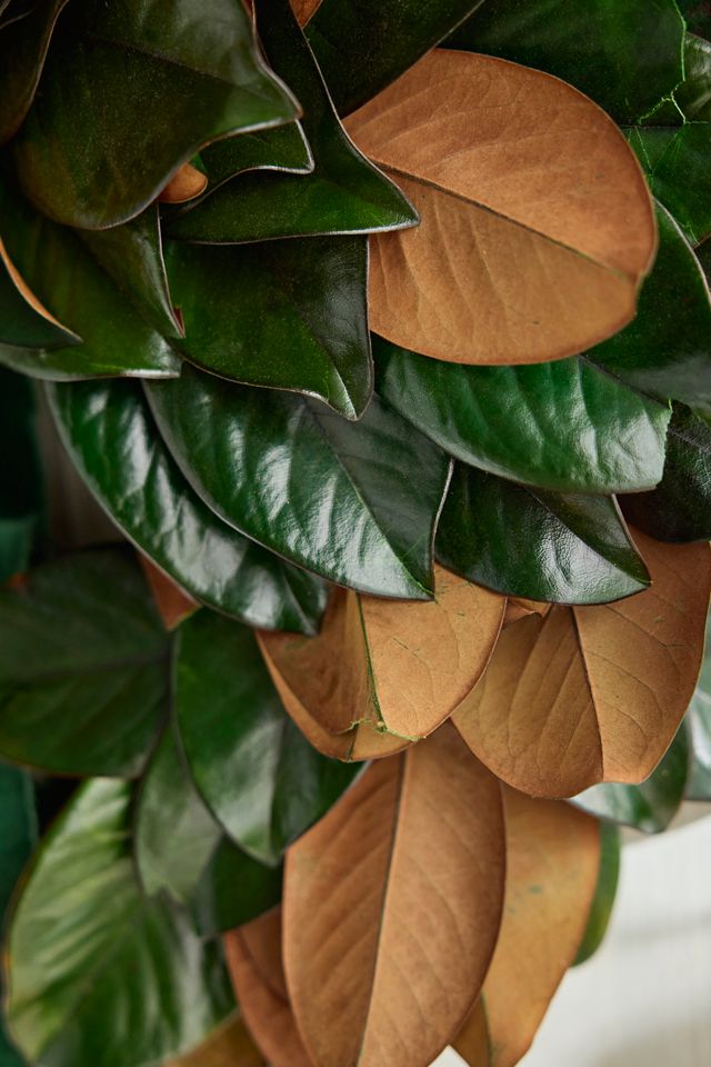 Preserved Magnolia Wreath #1