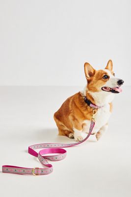 The Bistro Tile Dog Leash