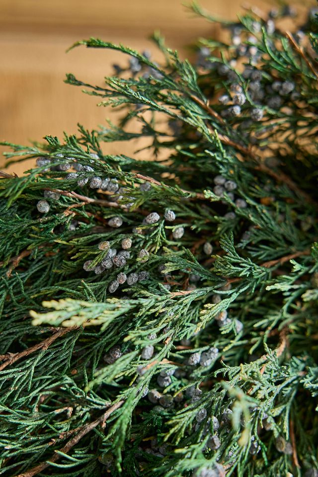 Preserved Juniper Wreath #1