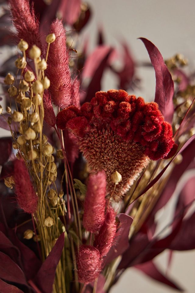 Dried Vermilion Ember Bouquet #1