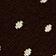Brown/Cream Polka Dot