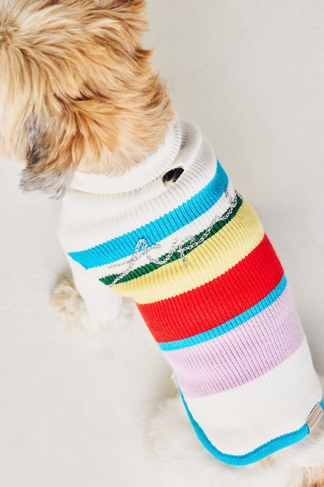 Max bone dog orders sweater