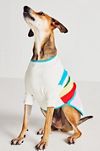 Maxbone x Anthropologie Après Pet Sweater