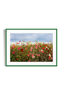 Artfully Walls Dahlia Field Wall Art In Multi