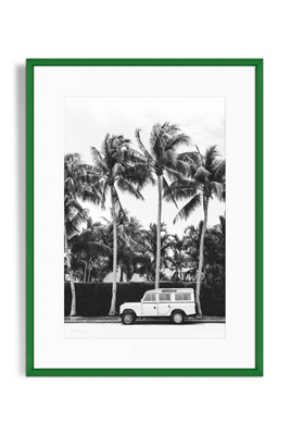 Artfully Walls Palm Tree Nomad Wall Art