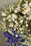 Fresh Ruscus + Statice Wreath