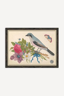 18th Century Floral Bouquets with Birds Wall Art