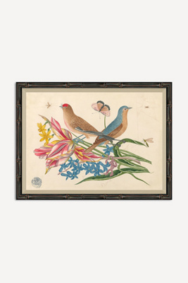 Soicher Marin 18th Century Floral Bouquets With Birds Wall Art