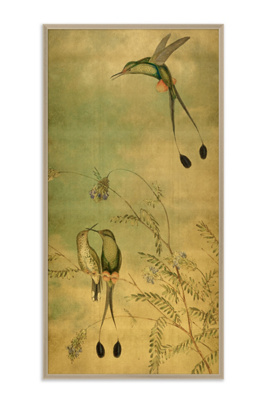 Anthropologie Hummingbird Dances I Wall Art