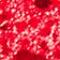 CANDY CANE