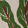 Green Pattern