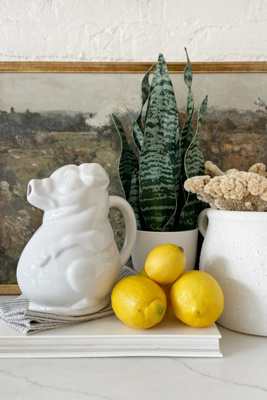 Shop All Kitchen & Dining | AnthroHome