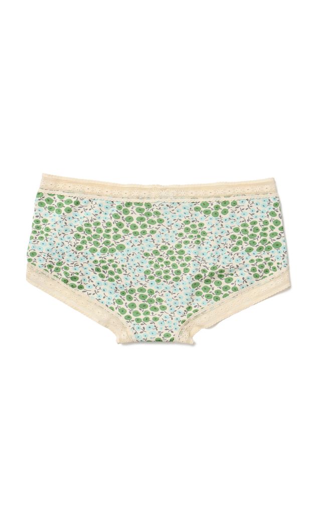 Petal Pathway Briefs #1