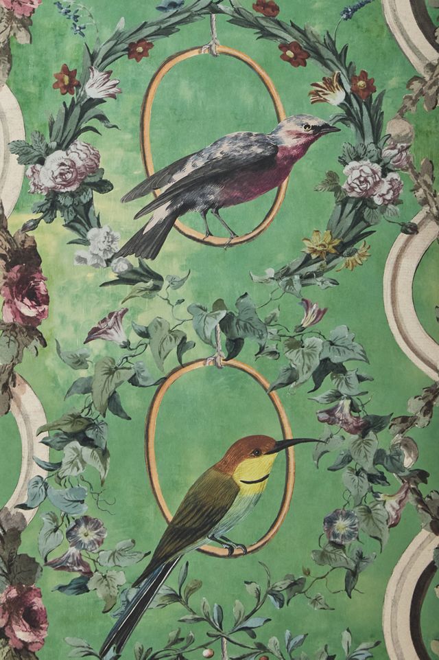 MINDTHEGAP Countesse's Aviarium Birds Wallpaper #2