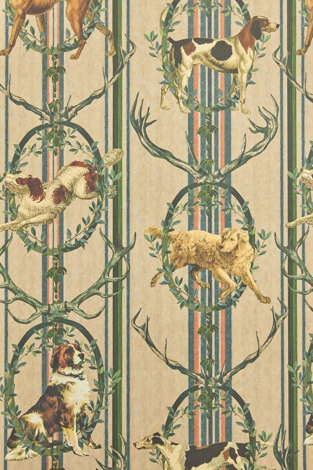 MINDTHEGAP Mountain Dogs Dog Peat Wallpaper #1