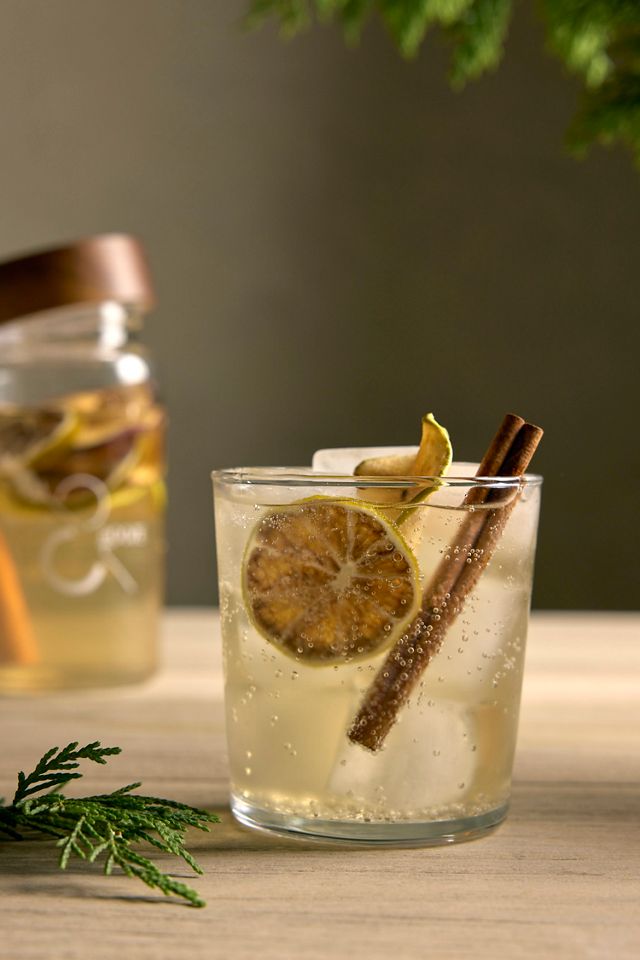 Merry Mule Cocktail Infusion Kit #2