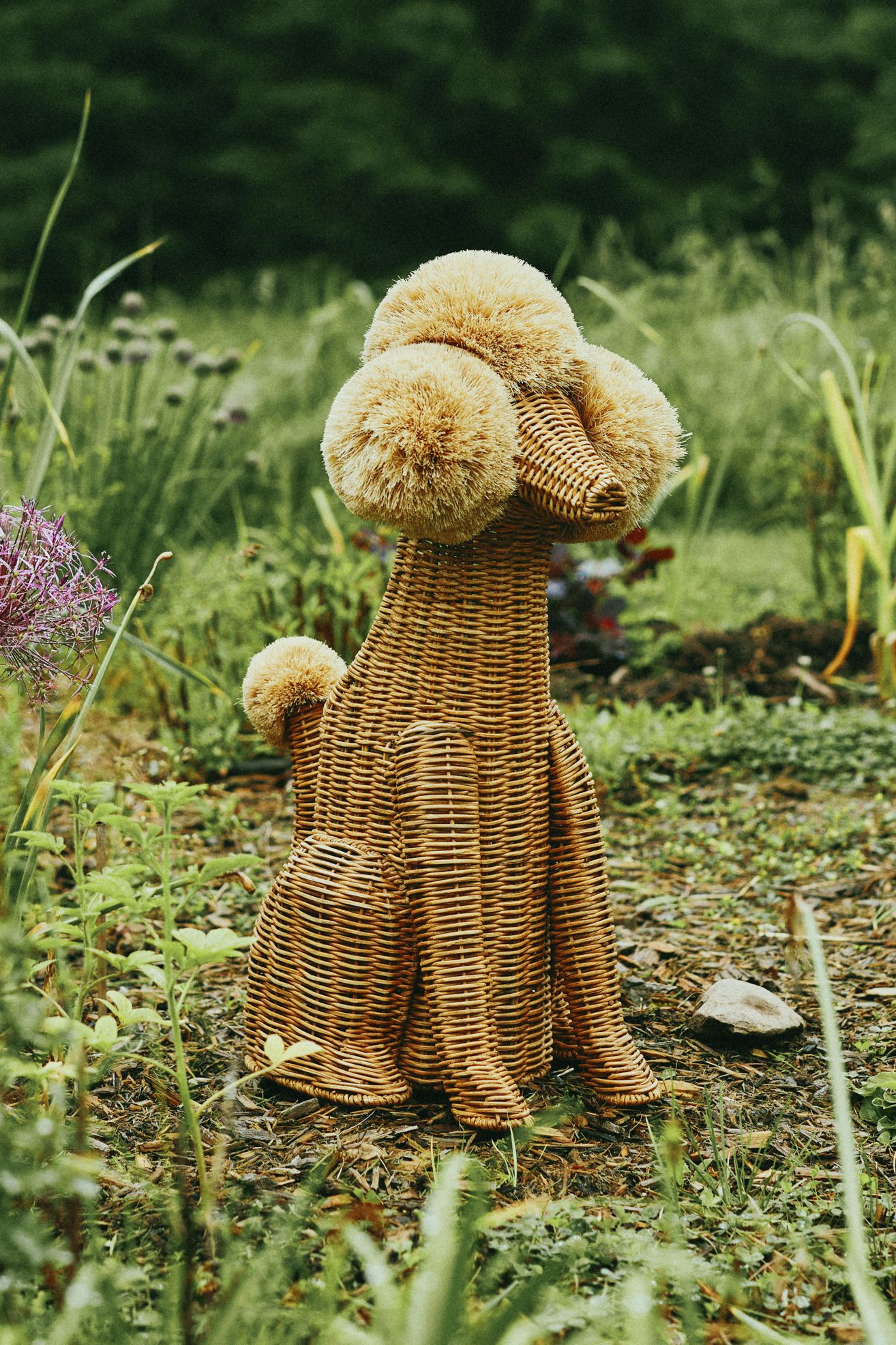 Poodle Dog Woven Wicker Basket - Natural, One Size