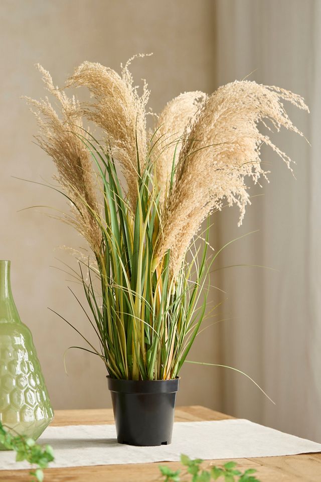 Faux Grass Plant #1