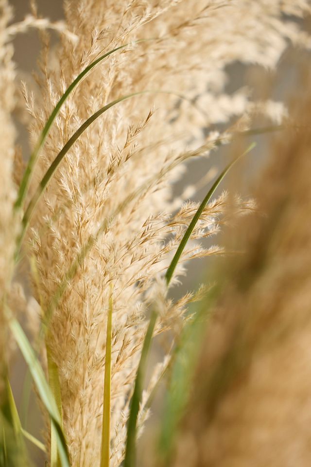 Faux Grass Plant #2