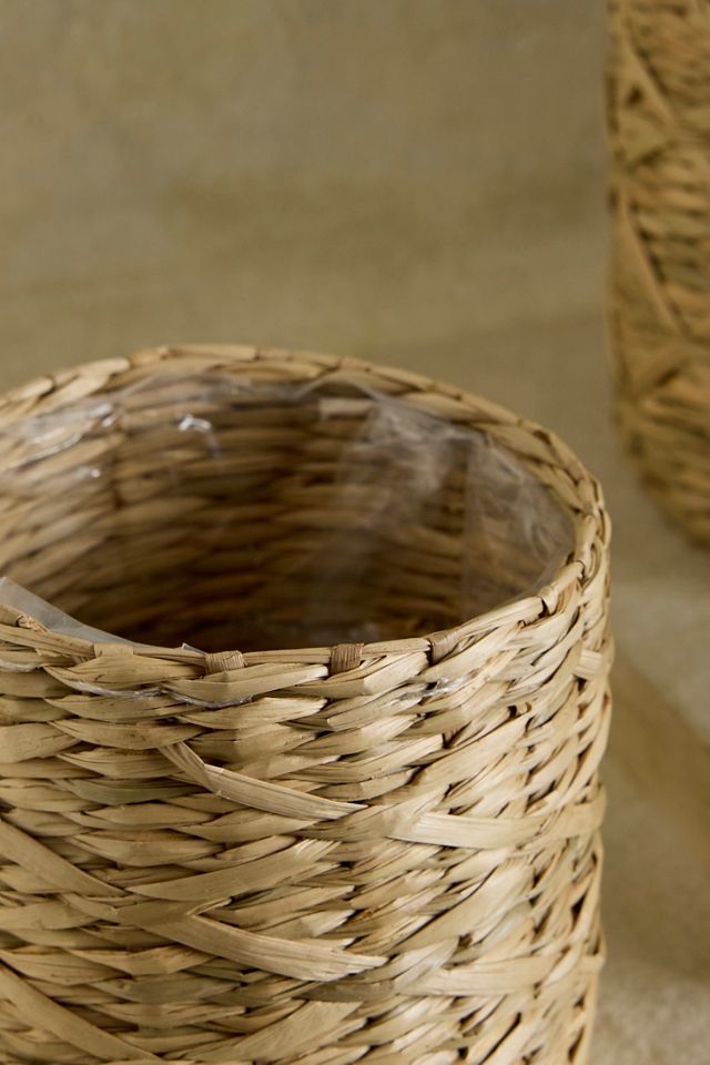 Woven Seagrass Mini Baskets, Set of 3 #2