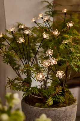 Solar Garden Light Stake, Flowers