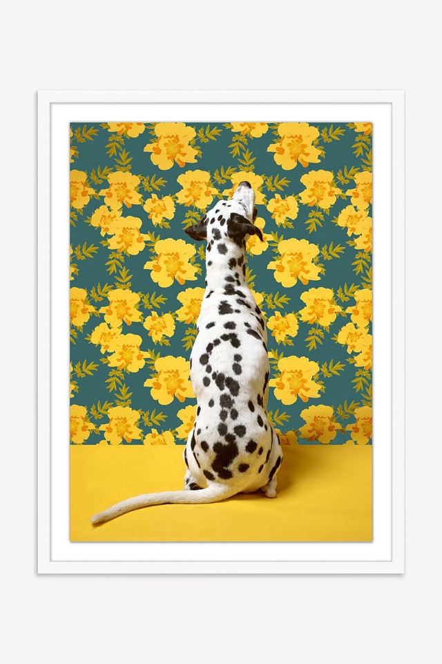 Dalmatian & Yellow Blossoms Wall Art #1